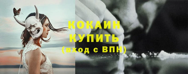 прущий лед Арсеньев