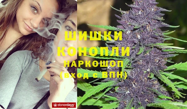 винт Аркадак