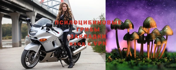 винт Аркадак