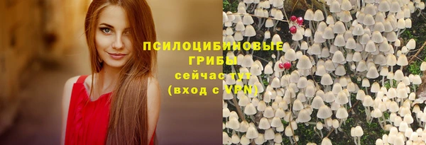 круглые Алексин