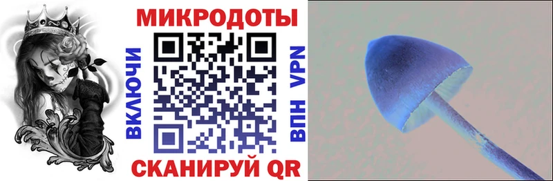 купить   Бронницы  Псилоцибиновые грибы ЛСД 